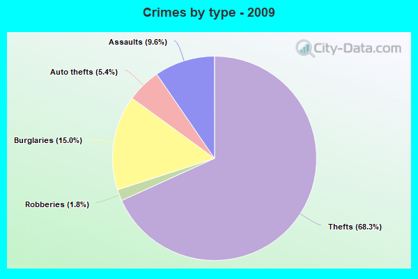 Crimes by type - 2009