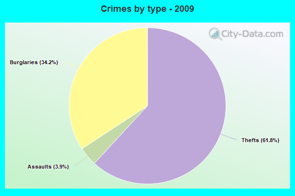 Crimes by type - 2009