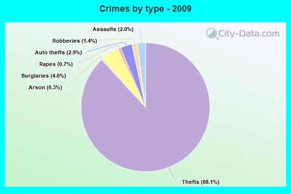 Crimes by type - 2009