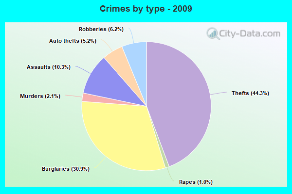 Crimes by type - 2009