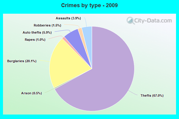 Crimes by type - 2009