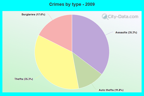 Crimes by type - 2009