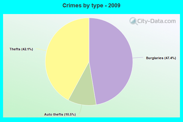 Crimes by type - 2009