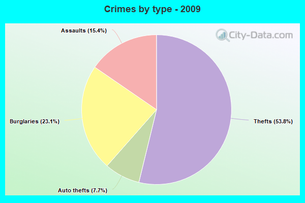 Crimes by type - 2009