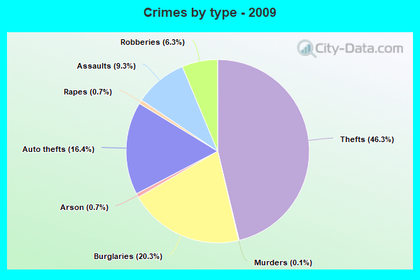 Crimes by type - 2009