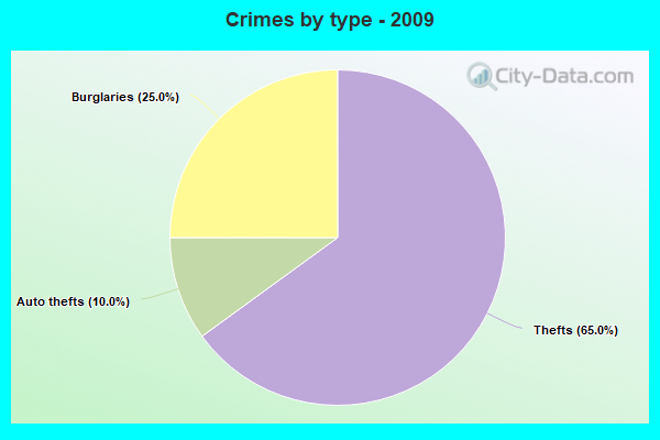 Crimes by type - 2009