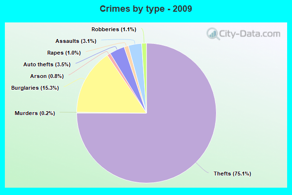 Crimes by type - 2009