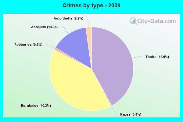 Crimes by type - 2009