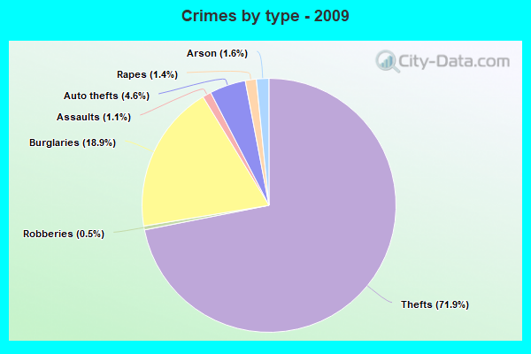 Crimes by type - 2009