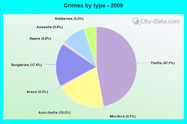 Crimes by type - 2009