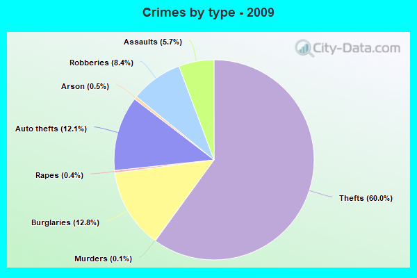 Crimes by type - 2009