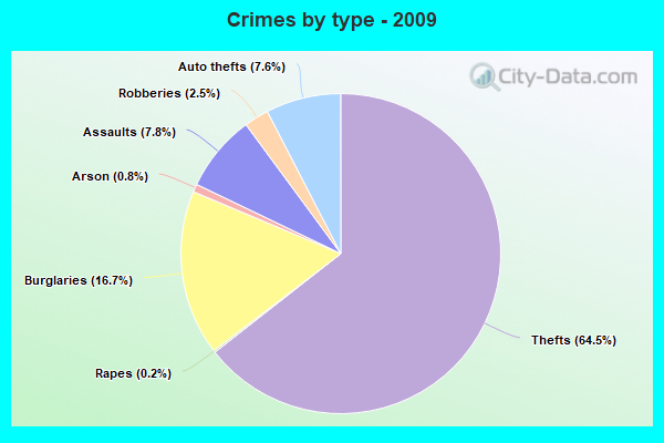 Crimes by type - 2009