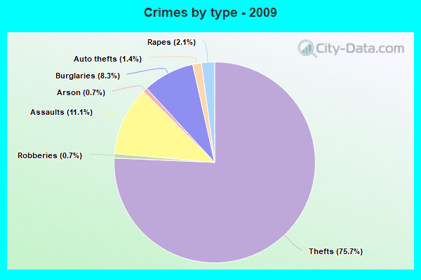 Crimes by type - 2009