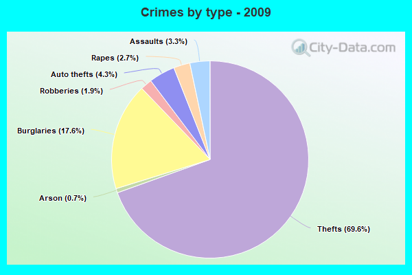 Crimes by type - 2009