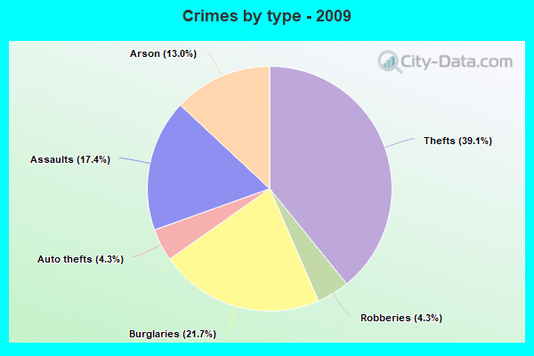 Crimes by type - 2009