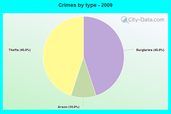 Crimes by type - 2009