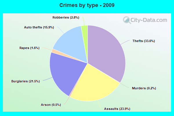 Crimes by type - 2009