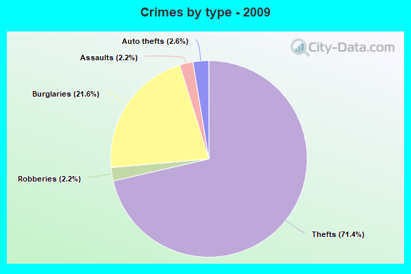 Crimes by type - 2009