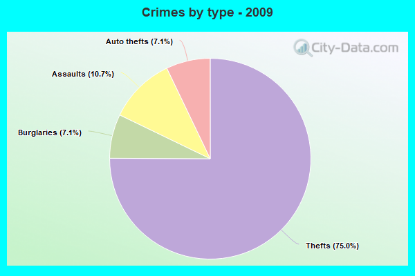 Crimes by type - 2009