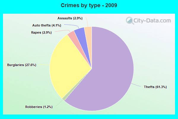 Crimes by type - 2009