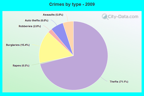 Crimes by type - 2009