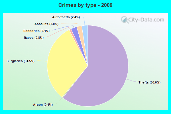 Crimes by type - 2009