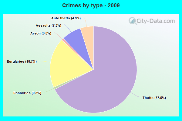 Crimes by type - 2009