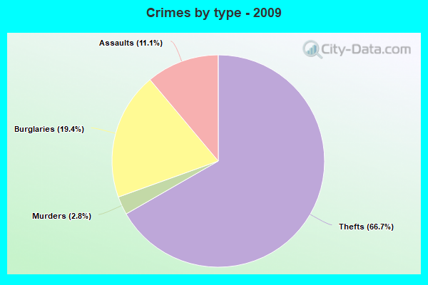 Crimes by type - 2009