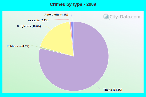 Crimes by type - 2009