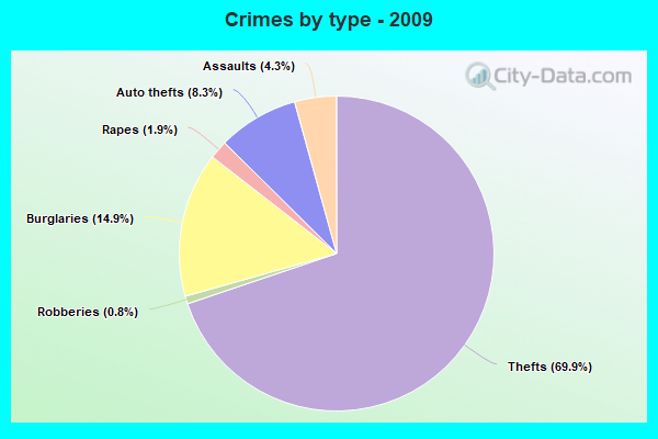 Crimes by type - 2009