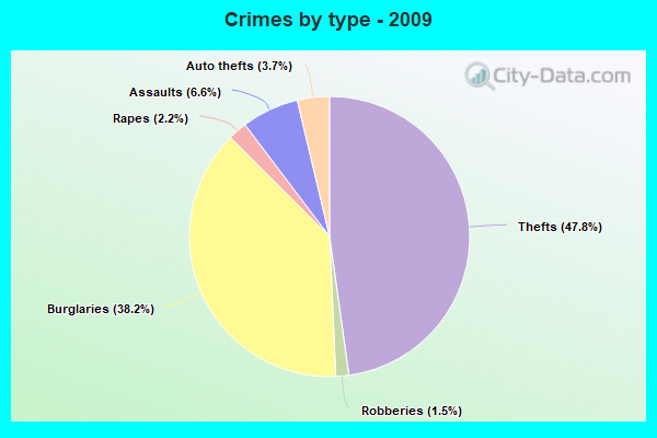 Crimes by type - 2009