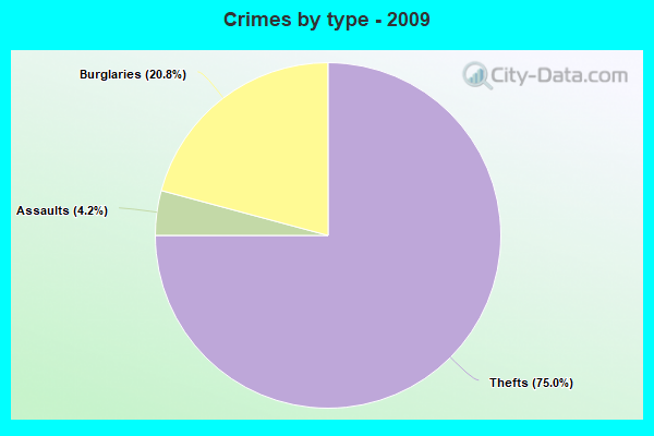 Crimes by type - 2009