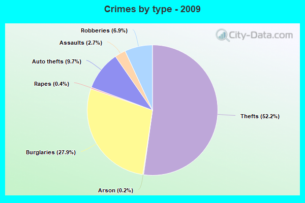 Crimes by type - 2009