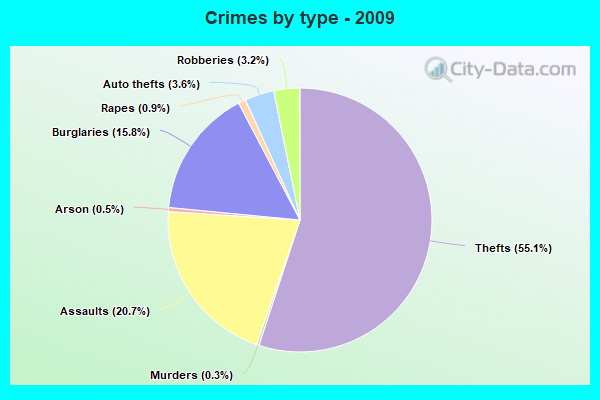 Crimes by type - 2009