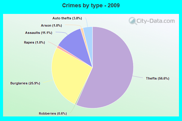 Crimes by type - 2009