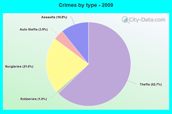 Crimes by type - 2009