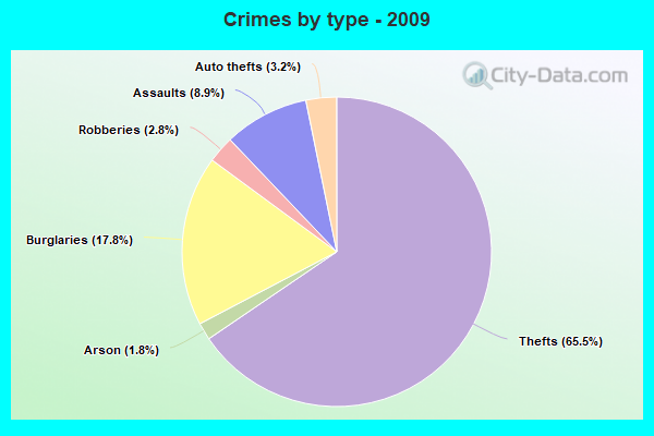 Crimes by type - 2009