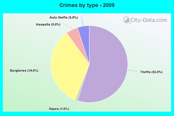 Crimes by type - 2009