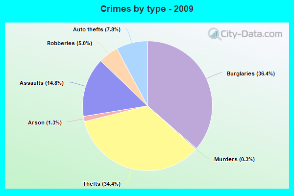 Crimes by type - 2009