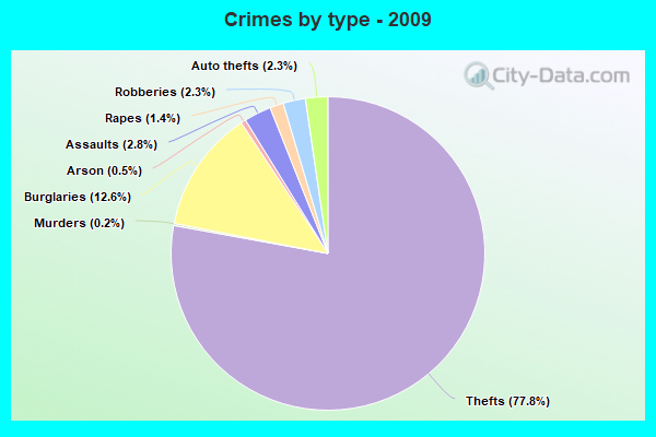 Crimes by type - 2009