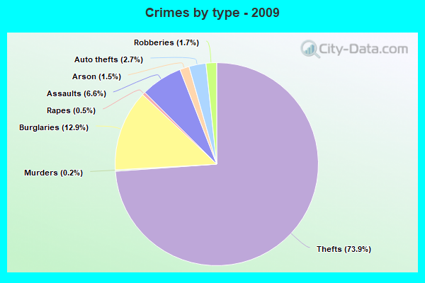 Crimes by type - 2009