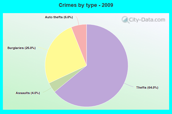 Crimes by type - 2009