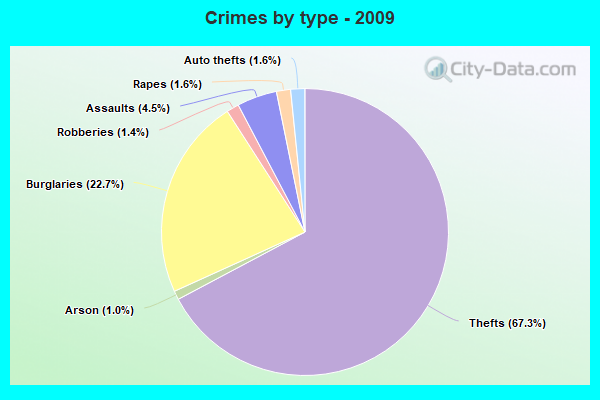 Crimes by type - 2009