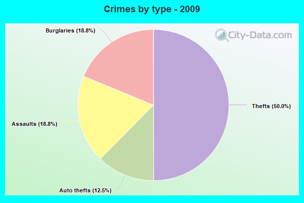 Crimes by type - 2009