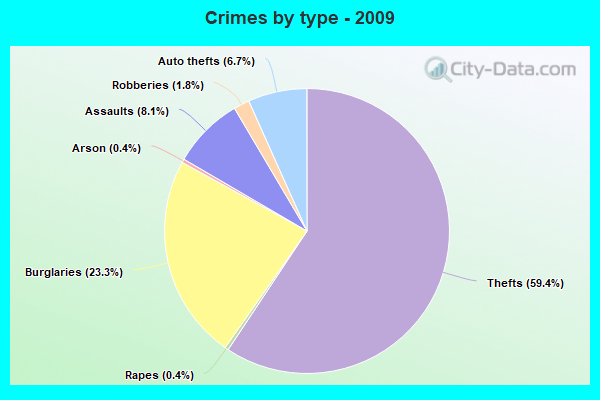 Crimes by type - 2009