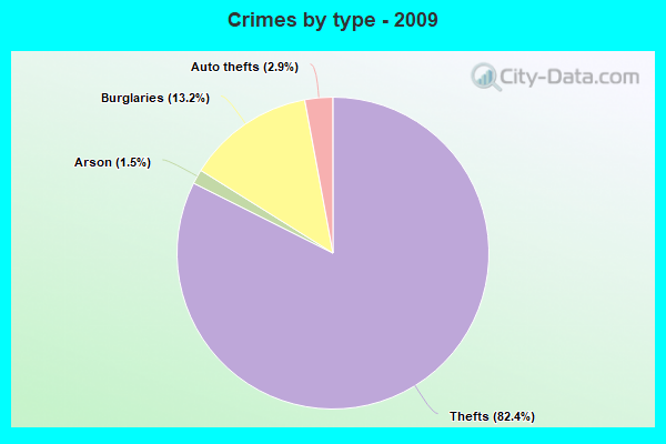 Crimes by type - 2009