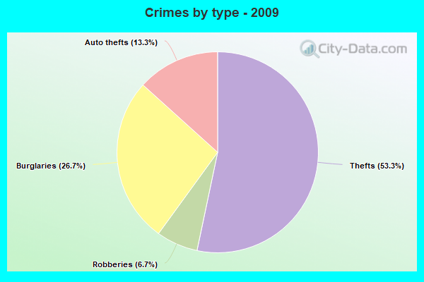 Crimes by type - 2009