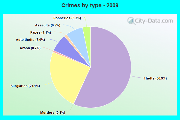 Crimes by type - 2009