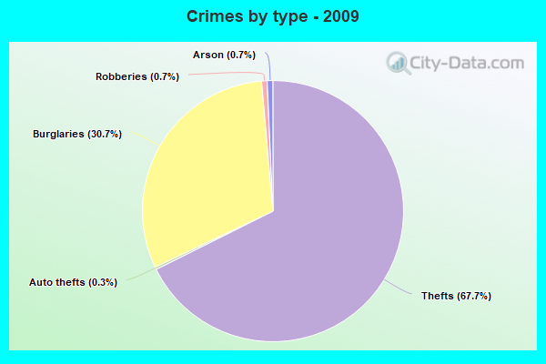 Crimes by type - 2009