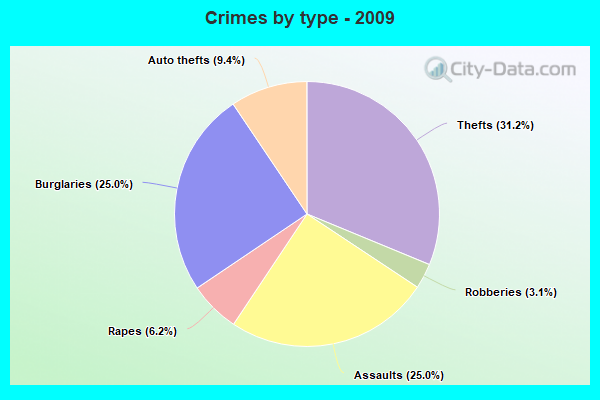 Crimes by type - 2009